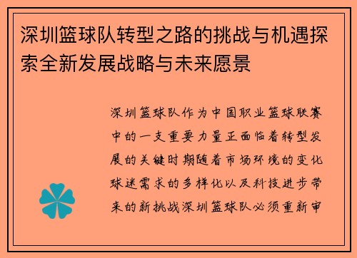 深圳篮球队转型之路的挑战与机遇探索全新发展战略与未来愿景